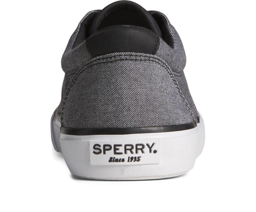 Sperry - Men's Striper II CVO SeaCycled Sneaker - Black - Coupe Finale