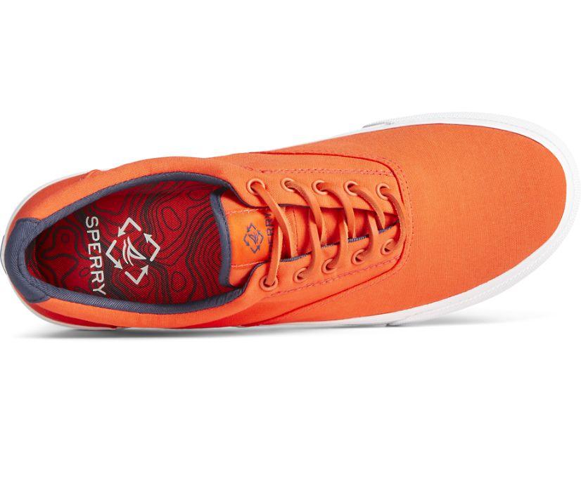 Sperry - Men's Striper II CVO SeaCycled Sneaker - Orange - Coupe Finale